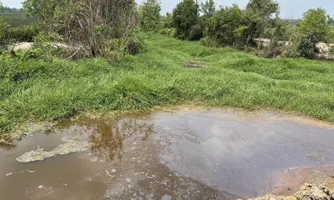 Long An: “Lộ diện” đơn vị bán sạch 100% sản phẩm chỉ trong một ngày ở dự án KDC Hiệp Trường Phát!?