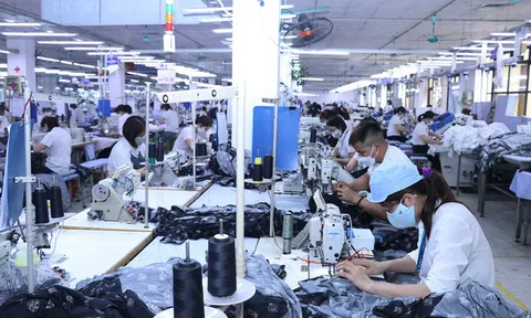 Giám sát chi trả hỗ trợ tiền thuê nhà cho người lao động