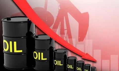 Giá dầu lao dốc chỉ trong một đêm