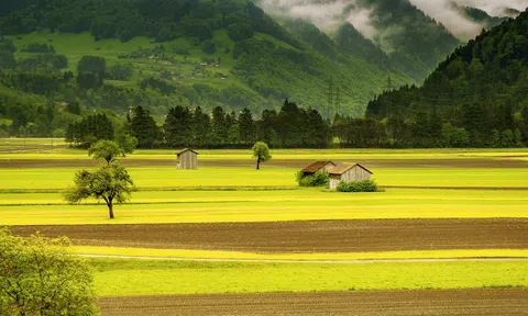 Những địa điểm du lịch xanh được yêu thích