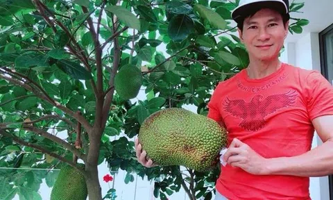 Không gian xanh mướt khiến vợ chồng Lý Hải bỏ phố ra ngoại thành sống