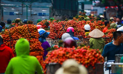 Bắc Giang kỳ vọng "một mùa vải ngọt 2022"