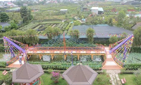 Đồng Tháp đặt mục tiêu thu hút 3 triệu lượt khách du lịch sau 2 năm đóng băng