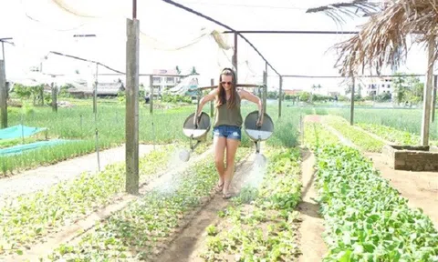 Quảng Nam: Phát triển du lịch xanh hướng đến bền vững