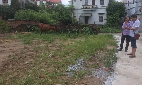 Thị trường đất nền vẫn chưa hết "nóng"