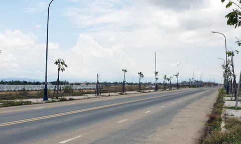 Bộ Tài nguyên và Môi trường đề xuất phạt nặng người bỏ cọc, cấm tham gia đấu giá đất 5 năm