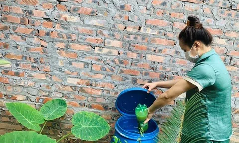 Hiệu quả từ mô hình xử lý, phân loại rác tại huyện Đông Anh