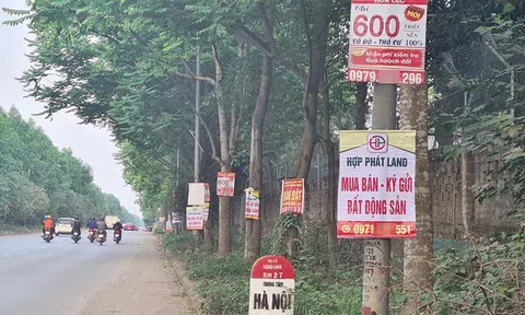 Dấu hiệu nhận diện "sốt đất ảo"