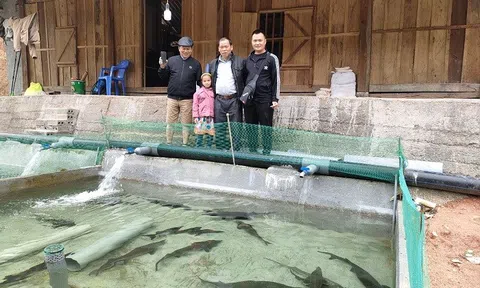 Triệu Chàn Loàng- người nông dân khởi nghiệp với mô hình nuôi cá tầm trên núi