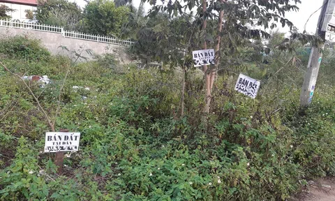 Đất sốt từng giờ: Chủ yếu "cò" bắt tay nhau thổi giá