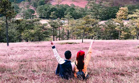 Du lịch Đà Lạt nói không với chửi bới, lăng mạ và phân biệt đối xử khách hàng