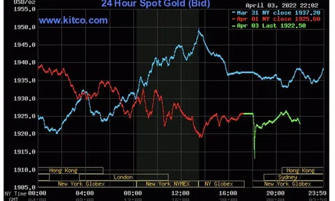 Nhận định trái chiều về dự báo xu hướng giá vàng thế giới tuần này