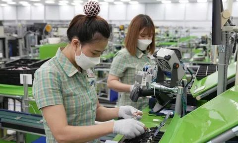 Phát triển kinh tế xanh - yếu tố quan trọng để Việt Nam cạnh tranh thu hút đầu tư