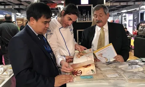 Nỗ lực thúc đẩy xuất khẩu sang thị trường Thổ Nhĩ Kỳ