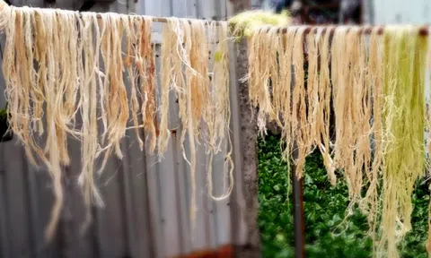Sinh viên "hồi sinh" thân chuối bỏ đi