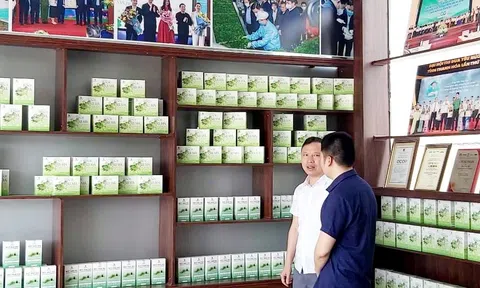 Chương trình OCOP - động lực phát triển kinh tế nông thôn ở Thanh Hóa