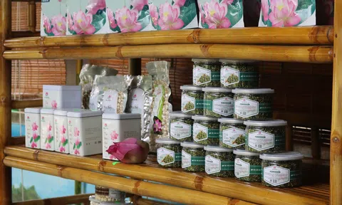 Nghệ An: 100% sản phẩm OCOP sẽ lên sàn thương mại điện tử