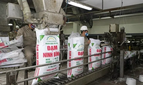 Đạm Ninh Bình: Phấn đấu đạt lợi nhuận 100 tỷ đồng năm 2022