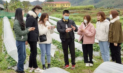 Hà Giang: Hướng đến nền nông nghiệp hiện đại