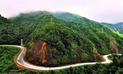 Lai Châu được giao làm hầm đường bộ qua đèo Hoàng Liên 3.300 tỷ