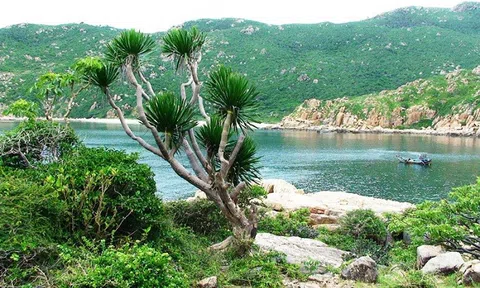 Núi Chúa (Ninh Thuận) được UNESCO công nhận là Khu dự trữ sinh quyển thế giới