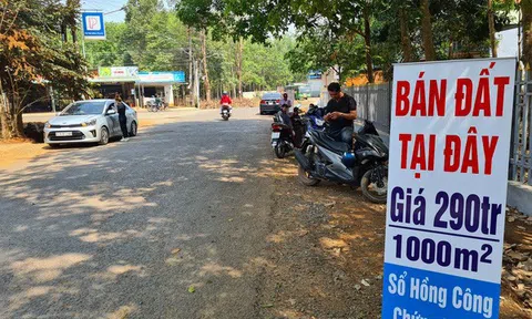 Nhiều địa phương vào cuộc xử lý sốt đất ảo