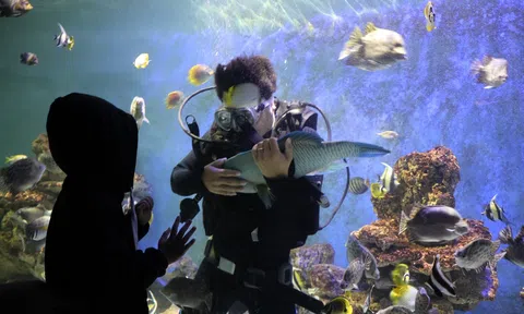 5 điểm đến độc đáo "hút" khách du lịch check-in ở Khánh Hòa