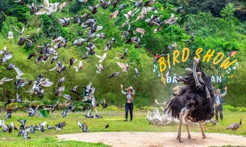 Khánh Hòa tung loạt sản phẩm kích cầu du lịch trước dịp lễ 30/4