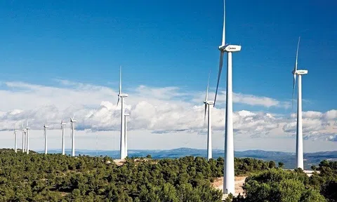 Hội thảo "Công nghệ năng lượng tái tạo Israel - Quảng Trị" sẽ diễn ra vào ngày 17/5