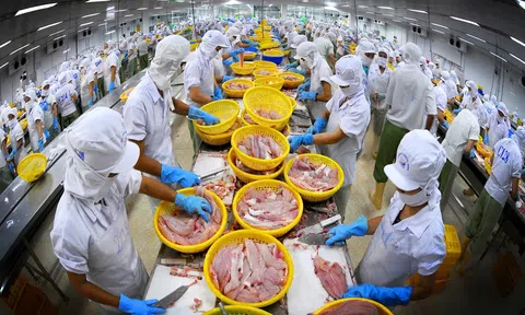 Thúc đẩy xuất khẩu thủy sản Việt Nam sang EU