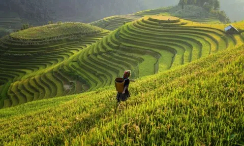 Những yếu tố định hình xu hướng du lịch năm 2022