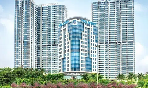 Viglacera báo lãi sau thuế hơn 752 tỷ đồng, cao gấp 2,7 lần cùng kỳ