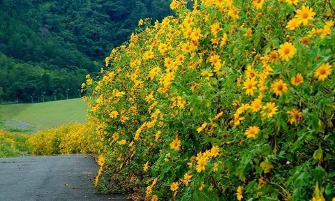 5 địa điểm du lịch xanh tươi đẹp