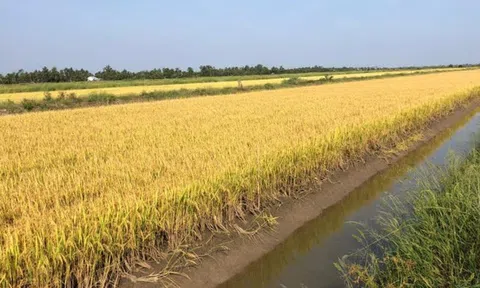 Để nông sản trở thành 'thương phẩm' giá trị cao