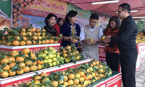 Ứng dụng công nghệ cao, nông nghiệp khoác áo mới ở Tuyên Quang