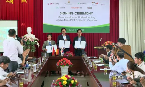 Nghiên cứu và xây dựng mô hình thí điểm điện mặt trời kết hợp nông nghiệp