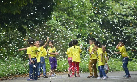 Mở hội đại ngàn Cúc Phương
