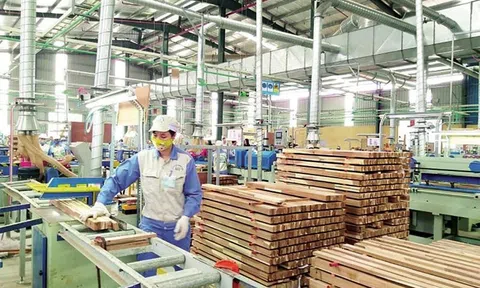 Chiến lược thu ngoại tệ từ sản xuất, xuất khẩu gỗ và sản phẩm gỗ ở Việt Nam