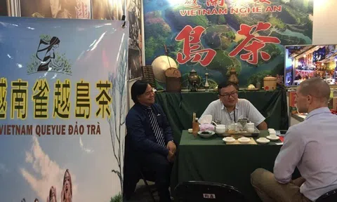 Tư vấn xuất khẩu chè, cà phê sang thị trường Đài Loan và Hồng Kông