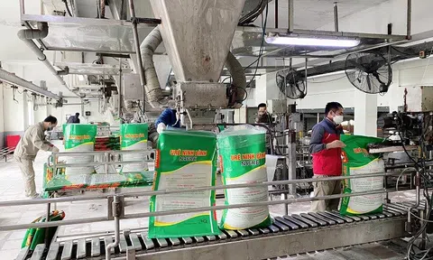 Quý I/2022, Đạm Ninh Bình lãi gần 651 tỷ đồng