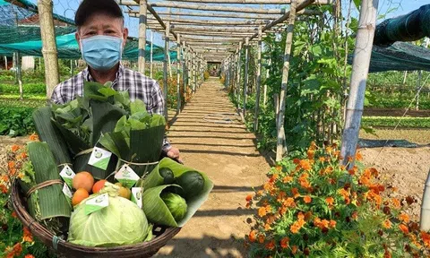 Người dân Thanh Đông tiên phong làm nông nghiệp hữu cơ