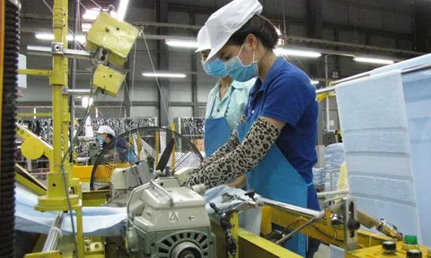 Long An chú trọng phát triển đa dạng các loại hình công nghiệp hỗ trợ