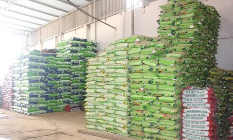 Cả nước có 5.580 sản phẩm phân bón hữu cơ được công nhận lưu hành