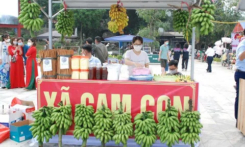 Xây dựng sản phẩm OCOP: Đòn bẩy phát triển kinh tế nông thôn ở Bảo Yên