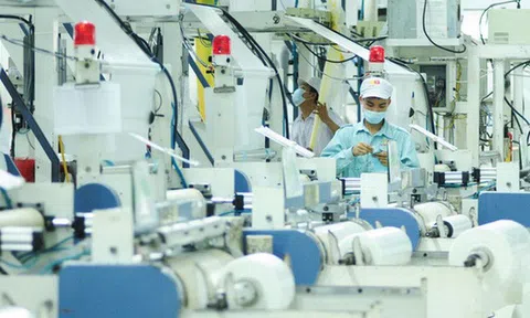 Những xu hướng chính của thị trường nhựa Bắc Âu doanh nghiệp cần biết