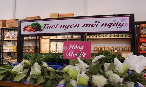 Nông sản hữu cơ đang được quan tâm mạnh mẽ