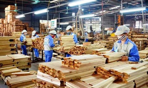 Ngành gỗ và mục tiêu xuất khẩu đạt 17,5 tỷ USD