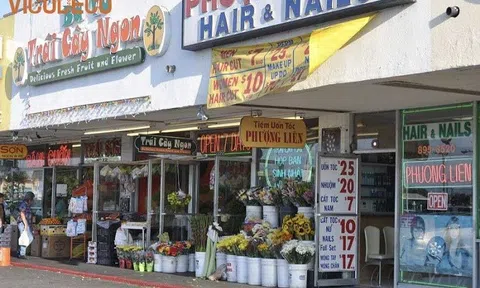 Cộng đồng người Việt ở nước ngoài: Cầu nối quan trọng đưa thương hiệu Việt ra thế giới