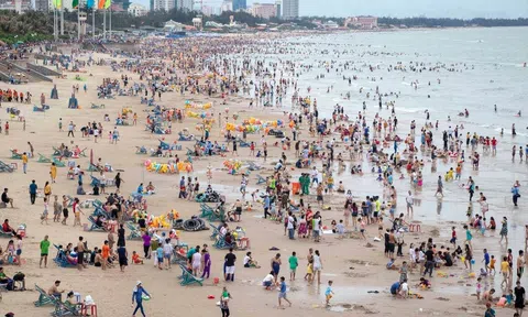 Bà Rịa – Vũng Tàu: Rà soát nghĩa vụ thuế tại các bãi tắm biển
