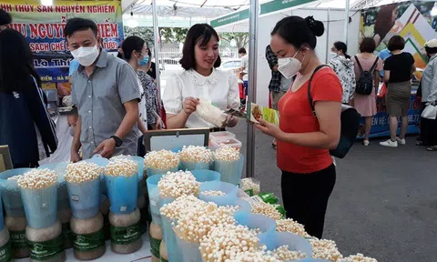 Chủ động đưa nông sản "sạch" ở các tỉnh về Hà Nội